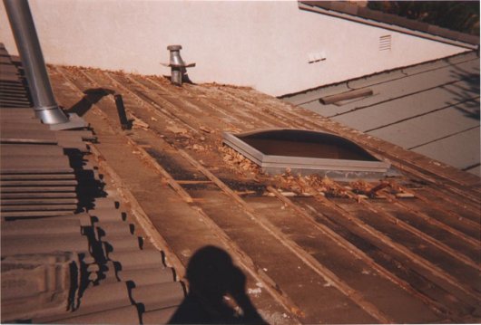 Debris around Skylight Tile